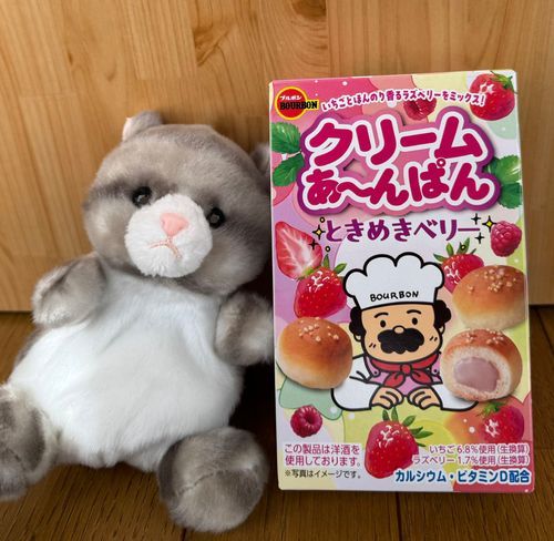 アメです！
今日のおやつはコレなのです！
いちごだけじゃなくて
ちゃんとラズベリーの味もして
とても美味しいのです！
