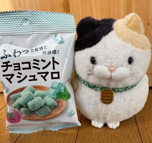 今日のおやつはコレにゃ♪
モチモチのマシュマロを
チョコミントでコーティングしてあるニャン♪
スースーするけど、ほんのり遠くでチョコの甘さもあるニャ♪
ガツンとミントが好きニャ人にはたまらない一品ニャ♪
