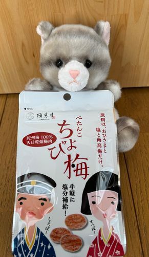 アメです
今日はコレです！
ぺたんこ　ちょび梅
一枚でもスッパイのです！
お外で作業する人や
屋内で家事などで動き回る人にはこれからの季節にピッタリなのです！