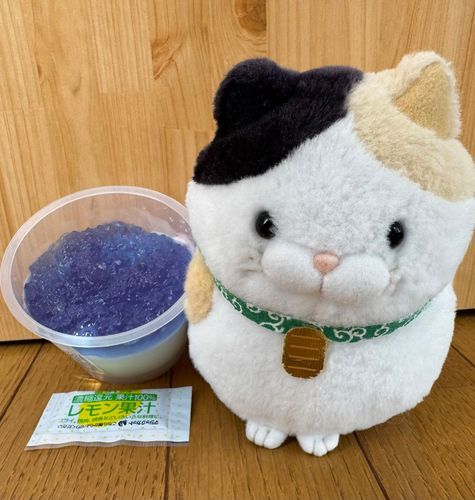 今日のおやつはコレにゃ♪
バタフライピーのあじさいゼリーなのニャン♪
見た目が涼しげで今の季節にピッタリのゼリーにゃ♪
付属のレモンソースをかけて食べるニャン♪
ん〜〜🩷美味しいニャン🩷
