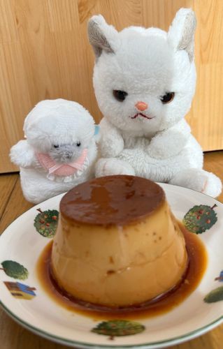 これもカフェ店のプリン🍮
少し固めのプリンでベトナムプリンって言うんだって♪
カラメルソースがほろ苦でプリンは甘くて
これも絶品でおいし〜🩷