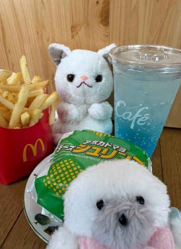 やっほー！つくねだよ！
今日のお昼はコレ！
アボカドマヨチーズシュリンプ♪
何か魔法の呪文みたいだね♪
少しスパイシーなハンバーガーで美味しかったよ♪
隣のマックフィズも炭酸が効いてるけど甘くて美味しい😋
あっという間に飲んじゃった♪