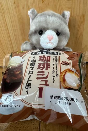 アメです！
今日のおやつはコレなのです！
珈琲シュークリーム♪
珈琲と言っても
ほろ苦さは全く無くて甘いから珈琲牛乳みたいな感じで美味しいのです♪
