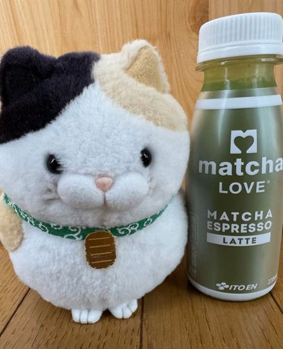 今日のおやつはこれニャ！
抹茶ラテにゃん♪
お茶の香りがするニャ♪
一口ゴクリ…
市販の抹茶ラテよりも甘くニャいニャン♪
抹茶の風味が口の中に広がるニャ🩷
これは飲みだしたら止まらニャいにゃん🩷