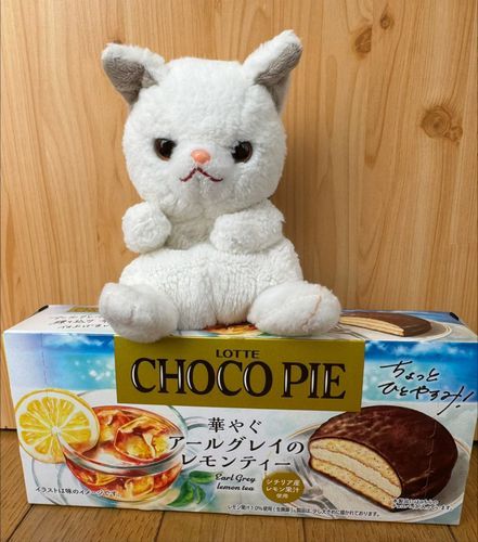 やっほー！ボクつくねだよ！
今日のおやつはコレ！
レモンティー風味のチョコパイ♪
開けた時からレモンの香り🍋
一口かじって、うっとり〜🩷