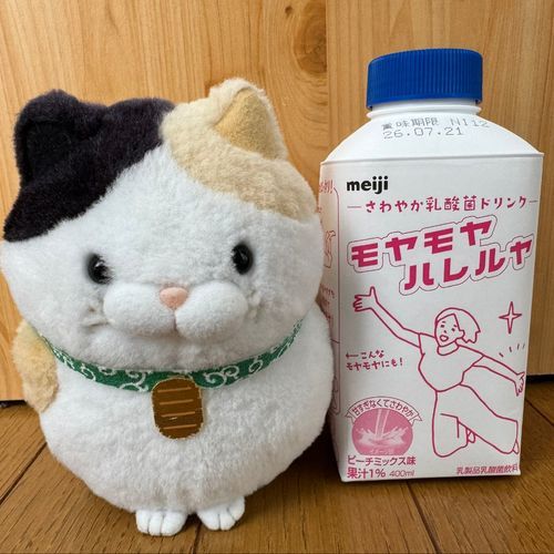 今日のおやつはコレにゃ♪
モヤモヤハレルヤ♪
「←こんなモヤモヤにも！」って
ボクはモヤモヤじゃニャいニャン😿
モヤモヤしたから飲むのニャン！
ゴクゴク……ハレルヤにゃん♪