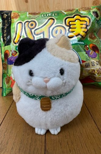 今日のおやつはコレにゃ！
パイの実宇治抹茶味なのにゃ♪
見た目がほんのり抹茶色なのニャン♪
ポイっと一口
サクサクで甘くて美味しいニャン♪