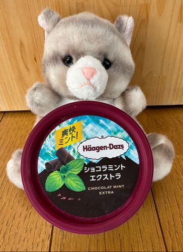 アメです！
今日のおやつは…暑いので
贅沢にハーゲンダッツです！
暑い日にスースーするミントと
冷たいアイスクリーム🩷
爽快なのです！