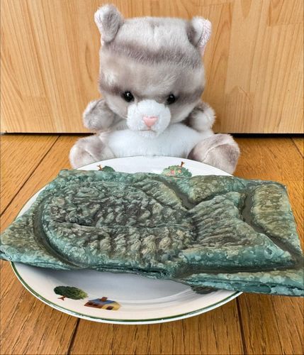 アメです！
今日のおや…つは…？
これは何ですか？
チョコミント味のたい焼きのパイ？
たい焼きなのにパイ？
冷たくてサクサクしてて
チョコミントの味もするのです！
少し温めたら中のチョコがとろりとして
更に美味しくなったのです！