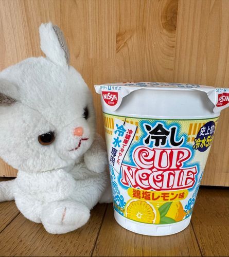 やっほー！つくねだよ！
今日のお昼はコレ！
ボク知ってるよ
お湯入れるだけでいいんだよね？
……え？熱湯禁止？水専用？
ボクの知ってる作り方とは違うなぁ…
