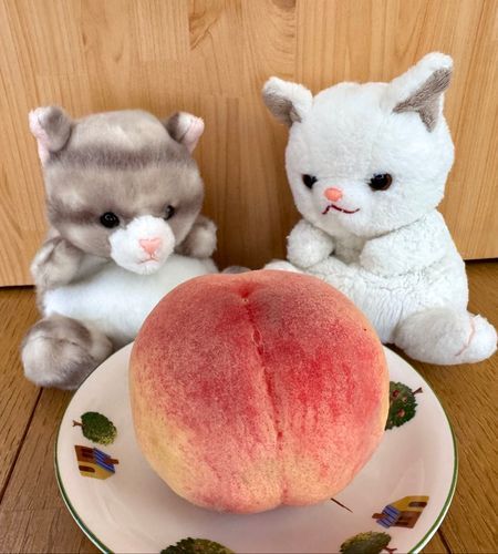 アメです！
つくねだよ！
モモを貰ったから今日のおやつはモモなのです！
立派なモモなのです♪

【つくね】コレ…かぶりついてもいい？
【アメ】え？