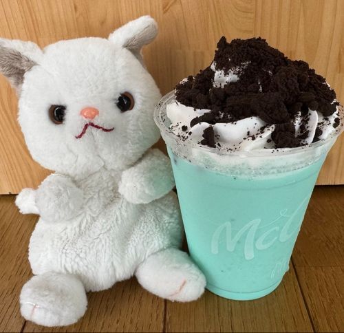 やっほー！つくねだよ！
今日のおやつはマクドナルドのチョコミントフラッペ♪
上のクッキーとクリームが最高🩷
下のチョコミントだけど甘めだからボクでも食べれたよ♪
