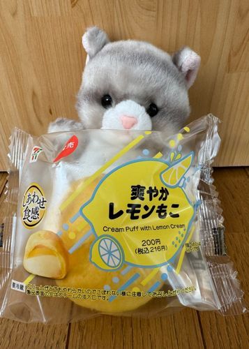 アメです！
今日のおやつはこれなのです！
甘いシュークリームかと思いきや
レモンの爽やかさがあるシュークリームなのでした♪
ただクリームがやわらかくて
口の周りがクリームだらけになってしまいましたが主に拭いて貰ったのです！
美味しかったのです！