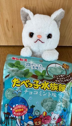 やっほー！つくねだよ！
今日のおやつはコレ！
たべっ子水族館チョコミント味♪
サクサク…
サクサク…
うん！爽やかで美味しい！