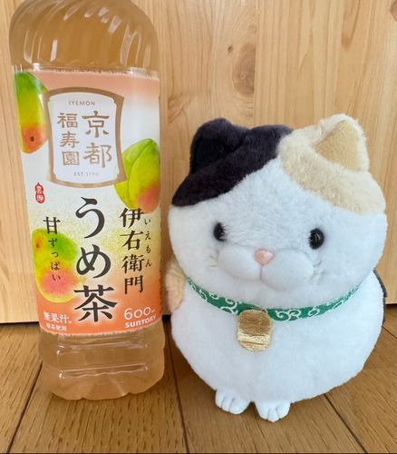 今日のおやつはこれにゃ！
うめ茶
ゴクゴク…
梅昆布茶に近いのかなと思ったら
ジュース寄りなのニャ！
甘酸っぱいニャ！
