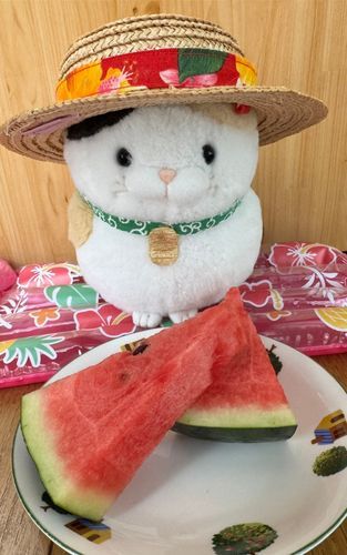 8月ももう終わりニャ！
夏の最後に今日のおやつはスイカにゃ！
ジューシーで甘くて美味しいにゃ！