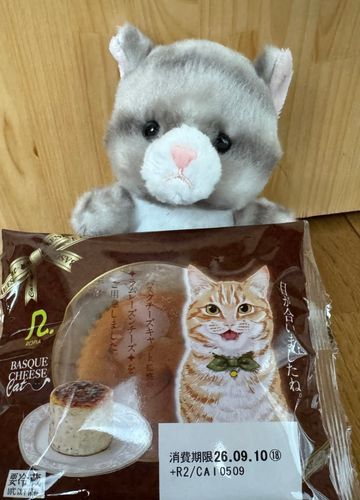 アメです
今日のおやつはコレなのです！
ラムレーズン入りのチーズケーキなのです♪
パッケージの猫さんと目が合ってしまい　つい手が伸びてしまったのです🩷