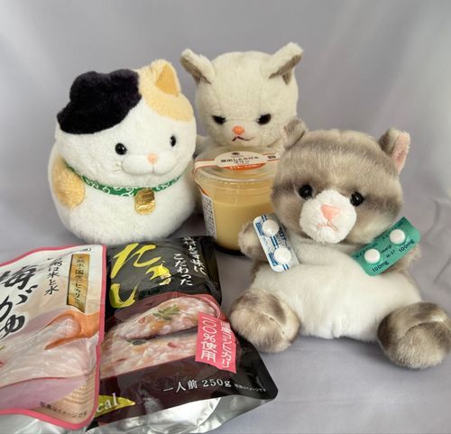 主　歯を抜いてきました😭
ペタ「お粥あるのニャ！これなら食べれる？」
アメ「お薬を飲むのですよ！」
つくね「プリンはボクが食べてあげるから心配しないでね♪」
ん？

