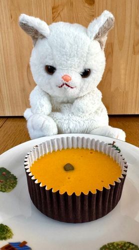 やっほー！つくねだよ！
今日のおやつはコレ！
かぼちゃのチーズケーキ♪
濃厚🩷甘い🩷美味しい🩷