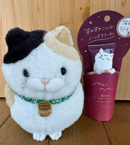 主がいつものハンドクリーム買いに行ったら
見つけてしまったらしいのニャ…
猫さん気持ちよさそうに寝てるニャ🩷