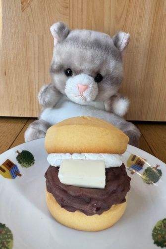 アメです！
今日のおやつはこれなのです！
あんバタースコーンサンド♪
冷たいままでも美味しいです
でも少し温めたらバターがとろけて更に美味しくなったのです！
