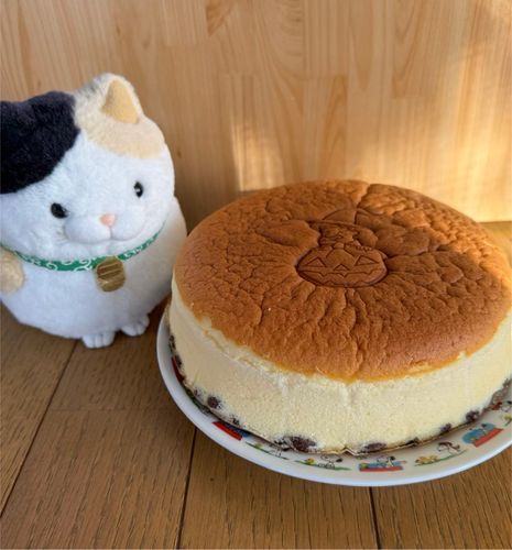今日のおやつはコレにゃ！
主とつくね君からの大阪のお土産なのニャ♪
大きいチーズケーキにゃん♪
冷たいままでも美味しいけど
少し温めると更に美味しニャるのニャ♪
噛まなくても口の中で溶けていくニャ〜🩷フワシュワなのニャ♪
コンビニやスーパーのチーズケーキとは
比べものにならないのニャ🩷
また買ってきて欲しいニャン♪
