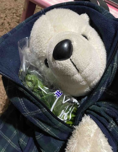 なんかほうれん草を大事そうに抱えているまさお🥬