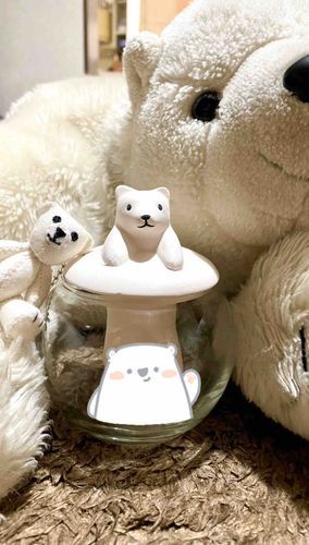 主の友達が、主の誕生日プレゼントに
名前と誕生日が彫られたシロクマちゃんの陶器の加湿器を送ってくれたよ🐻‍❄️
とっても可愛いね！！
我が家へようこそ🐻‍❄️‎🤍
byまさお・ミニまさお