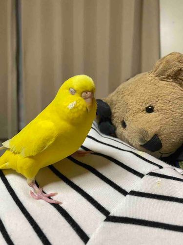 みなさまお久しぶりです😭
主の生活が忙しすぎて投稿していませんでした🥲
覚えてる方いらっしゃったら嬉しいです😭🙌