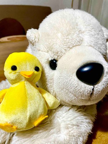 ポピ助に似たとりちゃんのお友達を
お迎えしました🐤🐤
名付けて「ポピ吉」!!
これからよろしくね🐤💕︎

まさおも新しい仲間が来て嬉しそう🧡