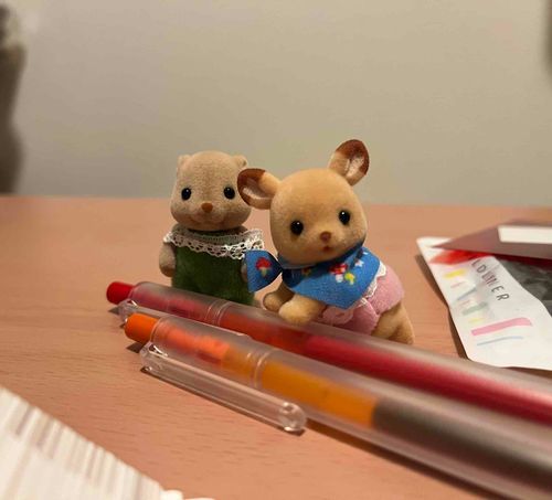 いつだかの、勉強応援してくれたぱやぱやのふれんず。とってもおきゃわ⊂( ᴖ ̫ᴖ )⊃
みんな、明日もいろいろがんばろうね