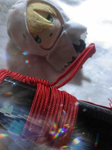 あるじはじょうちょがたいへんなことになっているのでかわりにいっておくが、もぞうとうをかった。こいつはしゃべることはできないが、なかよくしているぞ。