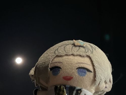 ぼくのライブを映画かんでみてきたよ、本当にかっこよかったね。よいものをみた。