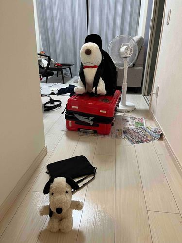 ボウちゃんとぬんがどこかいくんだって