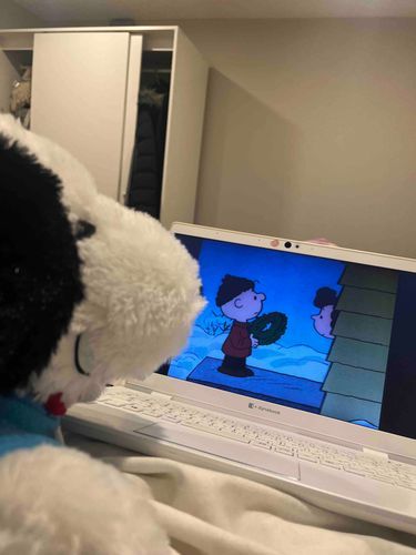 不憫なチャーリー