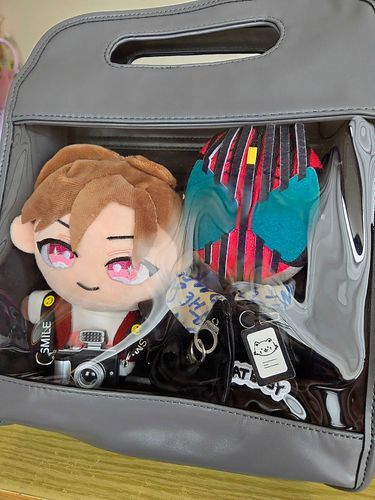 ぬいが2体入るぬいバッグ👜が届いてウハウハ🥰

これでお気に入りの子達2体連れ歩ける！！💕