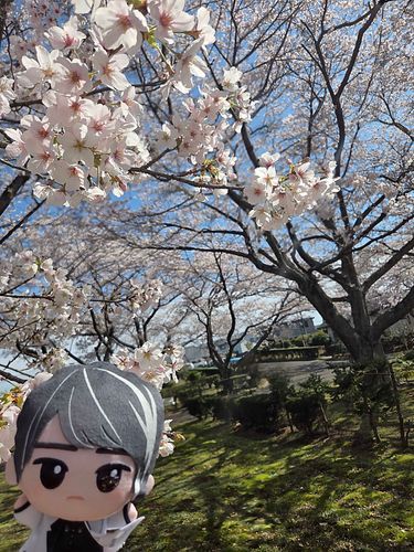 花は咲き、やがて蝶となり、悪夢は巡る。全てはお前自身の深層心理が招いたことだ🦋