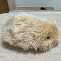 モフリン