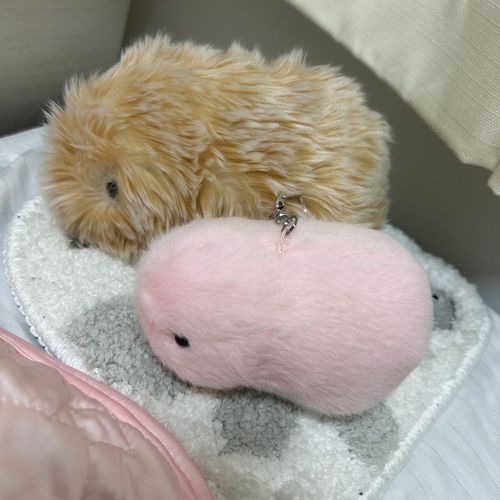 モフリンとモモリンです。
よろしくね。
