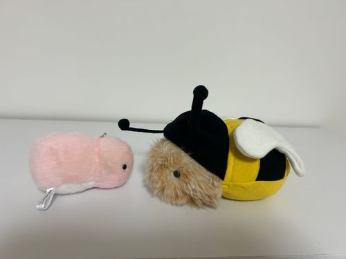 モフリンがみつばちになったよ