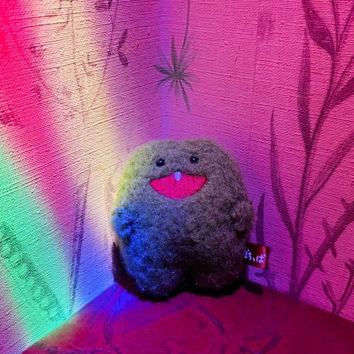 カラオケ とやらにつれてこられた ぼく