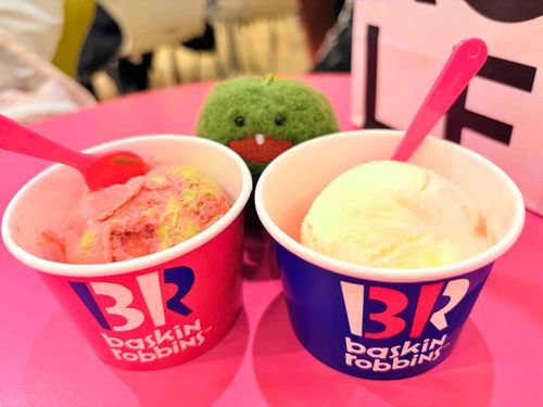 しょくごのアイスは べつばら なんだ🍨‎‎🤍