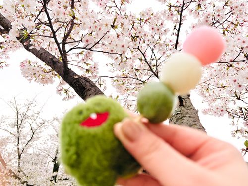 🌸もいいけど やっぱり🍡
(とるのヘタで合成みたい…)
