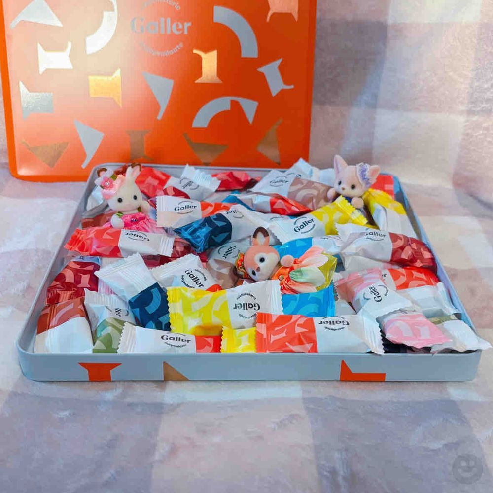 プレゼントもらいました🍫✨