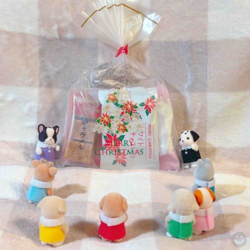 クリスマスのお菓子、まだ残ってるやつあった！