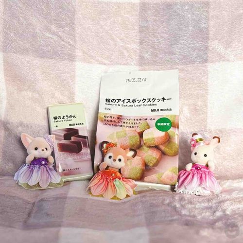 春ですね🌸