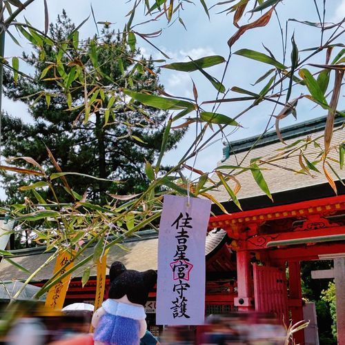 神社で短冊を書いたよ🎋