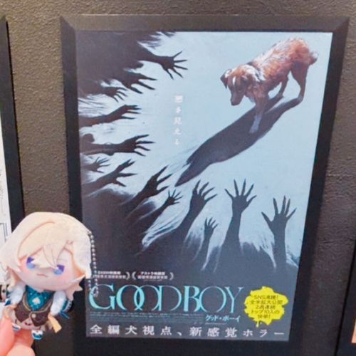 それから映画にも行ったんだ。
わんちゃんは無事だから安心して見られるよ🐶