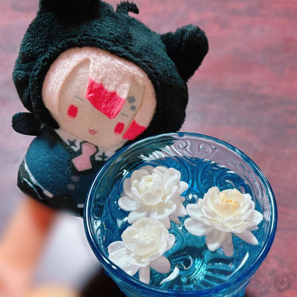 ジャスミンが咲いたっすよ🌹
花手水みたいにして楽しむっす！