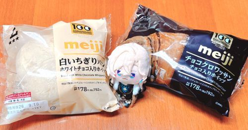 白か、あるいは黒か……